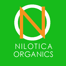 Nilotica